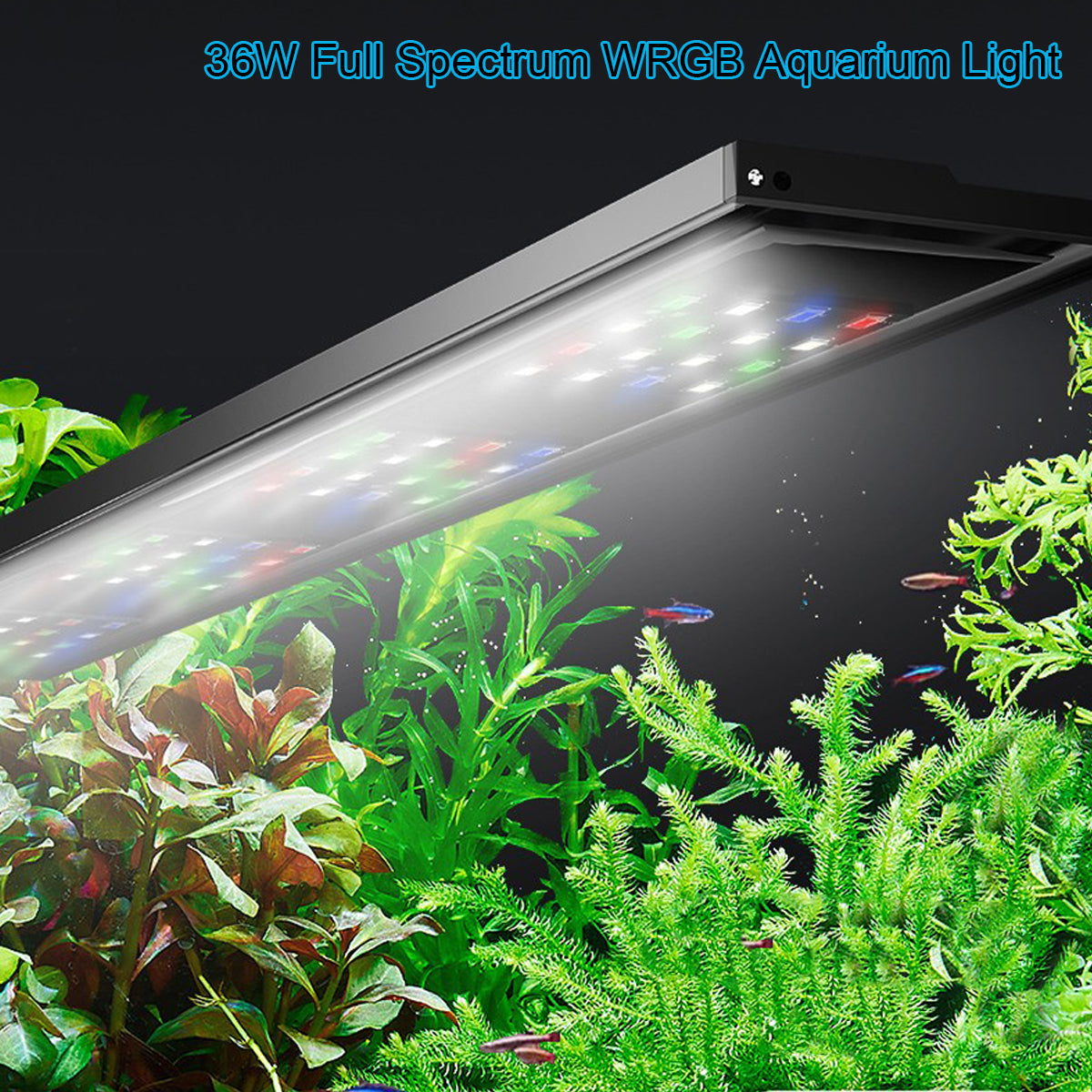 WRGB Full Spectrum Aquarium Light with Buit-in Timer, Brightness Adjustable, top for Fresh Water (50W/70W)